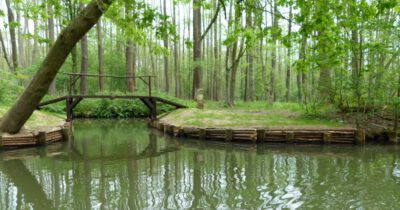 Spreewald - Hochwald