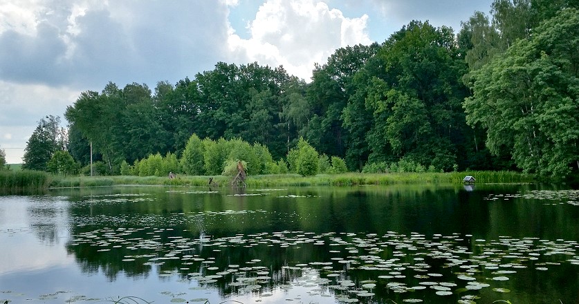 Teich an der Krebsmühle