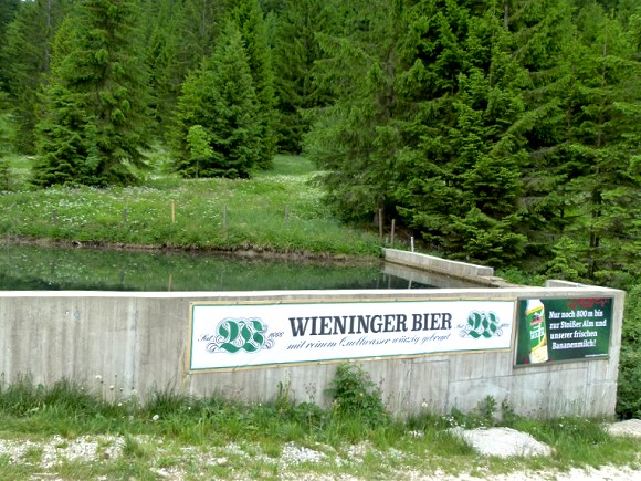 Wieninger Bier