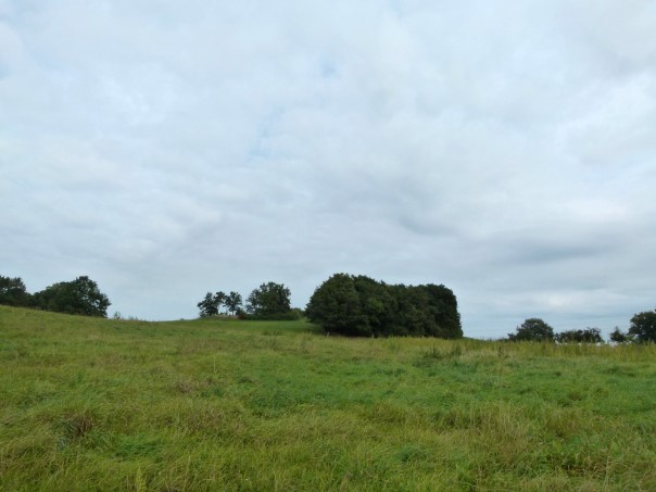 Landschaft bei Marsdorf - Marsdorfer Rundweg