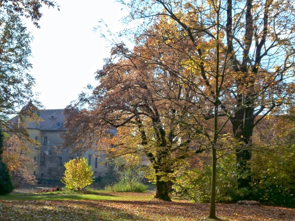 Herbst im Schlosspark in Berbisdorf