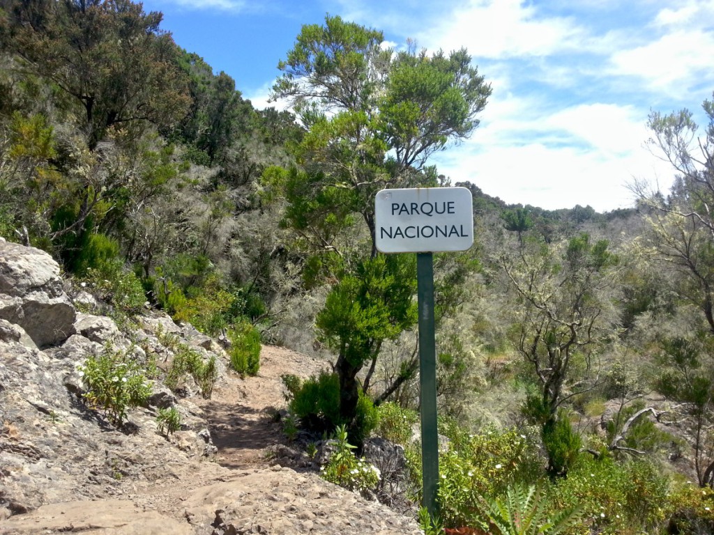 An der Nationalparkgrenze - Jardín de Las Creces