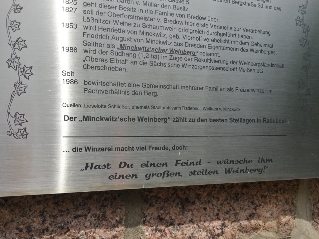 Ein Stück Infotafel am Minckwitz'schen Weinberg...
