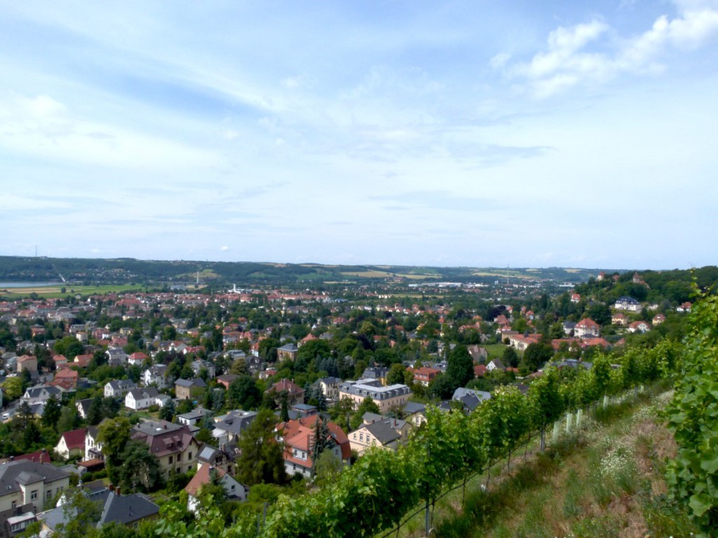 Blick von dem Weinberg unterhalb der Friedensburg über Radebeul 