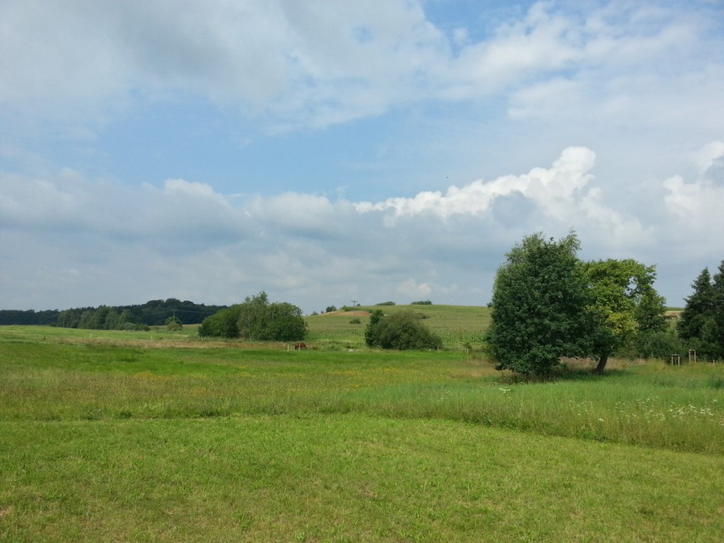 Landschaft an der Kötzschenbrodaer Straße