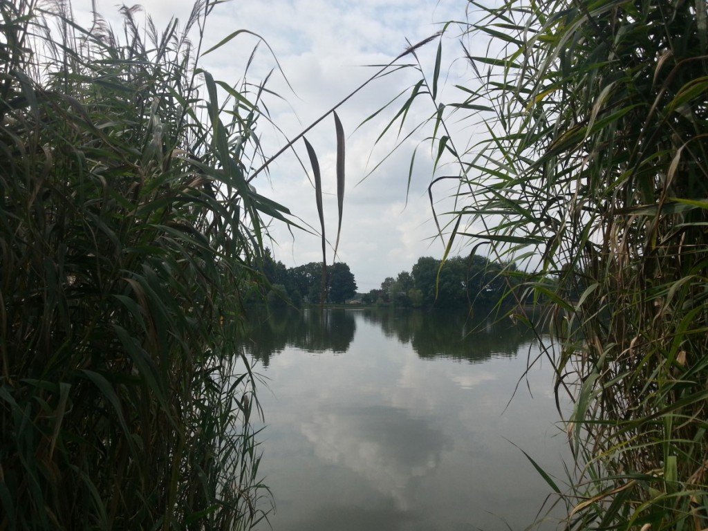 Am Dippelsdorfer Teich