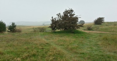 Zickersche Berge