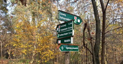 Coswig