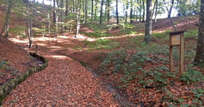 Oberlößnitz - Fiedlergrund