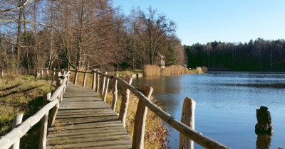 Königsbrücker Heide - Biberpfad
