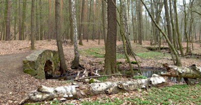 Spitzgrund Coswig
