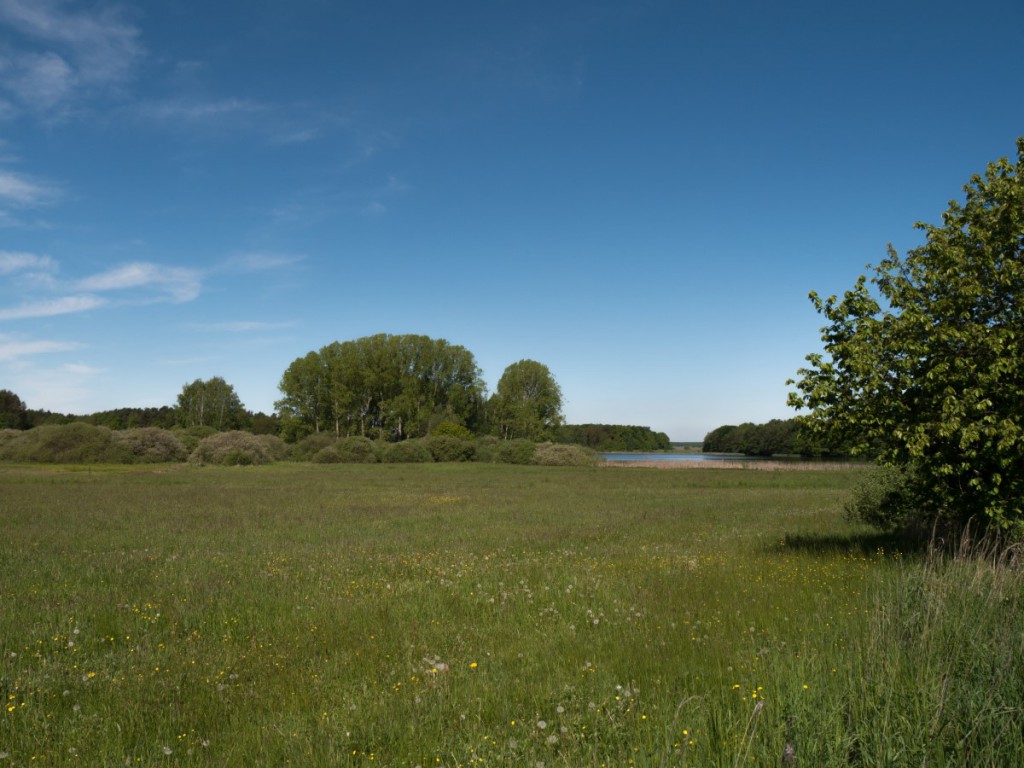 Naturschutzgebiet Frauenteich