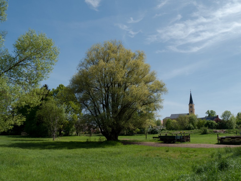 Bärnsdorf wieder erreicht - schöner Blick zur Kirche