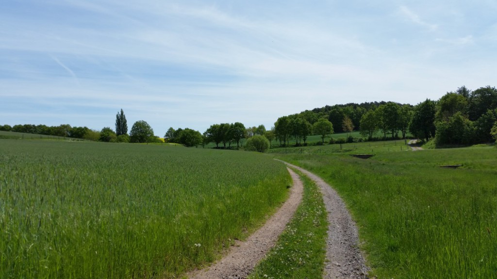 Der Wanderweg entlang des Bränitzbaches