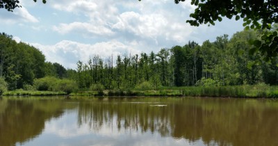 Funkenteich