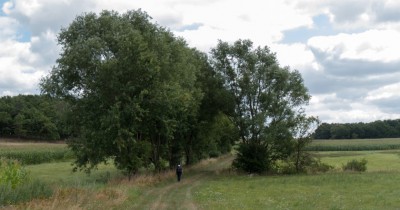 Berbisdorfer Rundweg