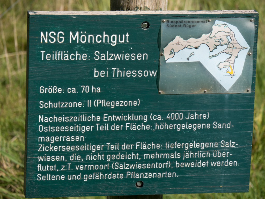 Infos zum Naturschutzgebiet Mönchgut, Teilfläche Salzwiesen bei Thiessow