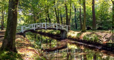 Schlosspark Hermsdorf