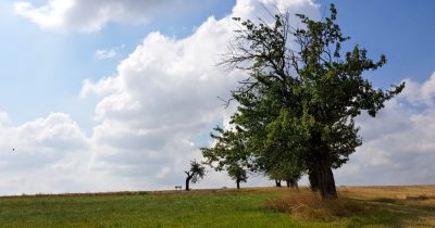 Kleinschönberg