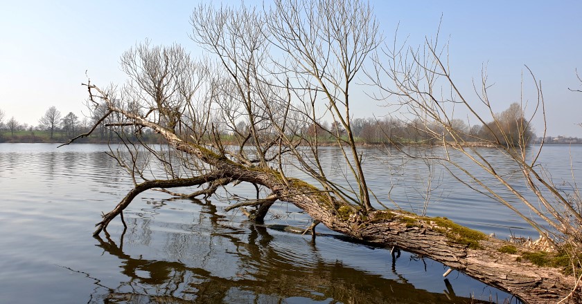 Am Radeburger Stausee