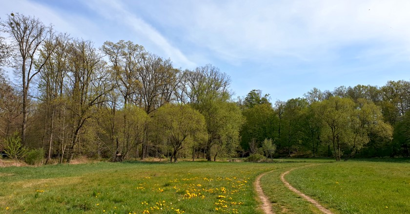 Große Röder in Medingen