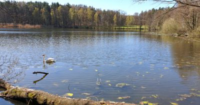 Am Silberteich