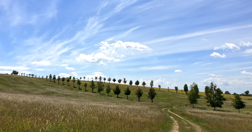 Unterwegs zwischen Grünberg und Schönborn