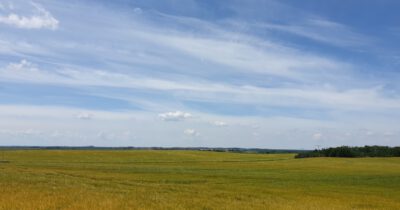 Schönborner Talwanderung