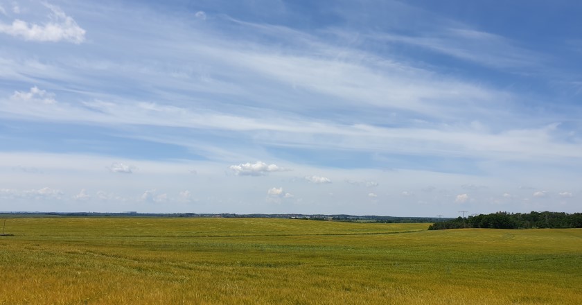 Schönborner Talwanderung