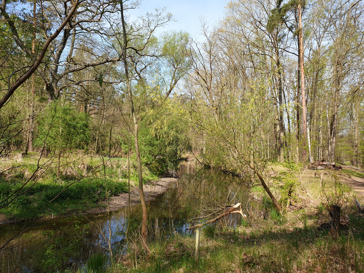 Große Röder eine Wanderung um Großdittmannsdorf