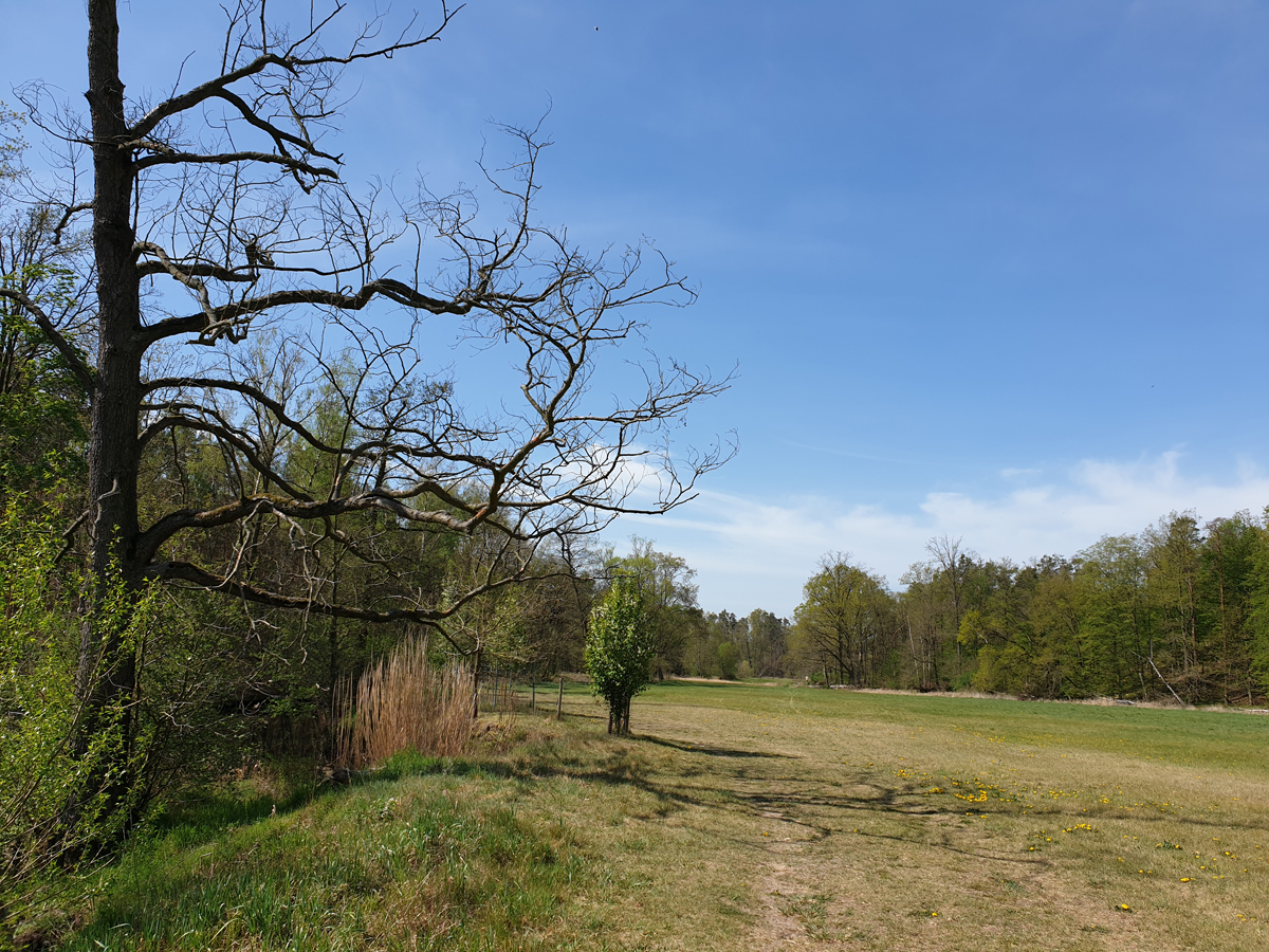 Große Röder eine Wanderung um Großdittmannsdorf