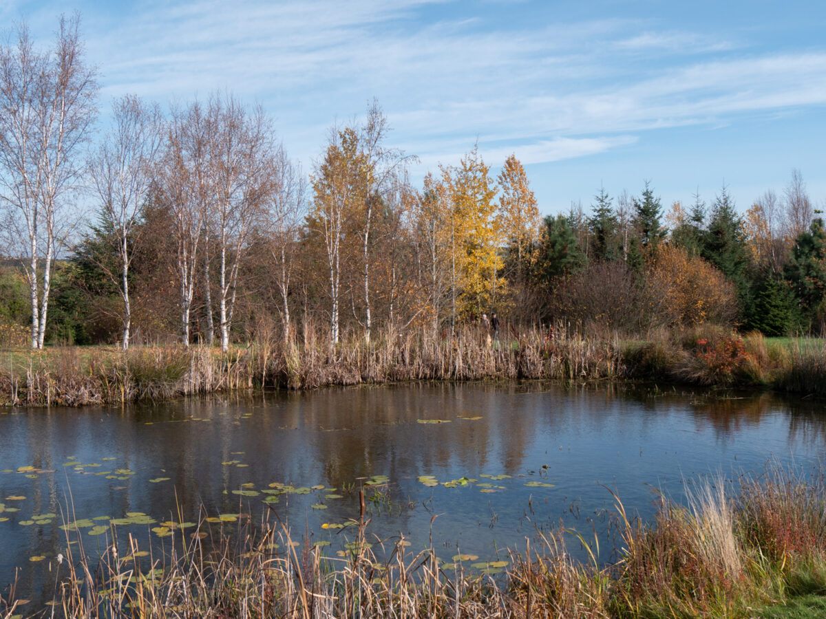 Forstpark Tharandt Spaziergang durch den Forstbotanischen Garten