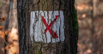 Unterwegs zum Lausaer Saugarten