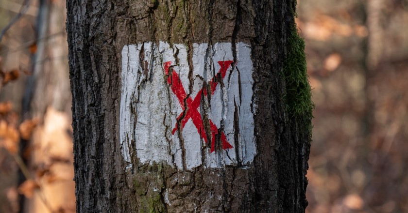 Unterwegs zum Lausaer Saugarten