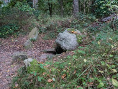 Großsteingrab 7