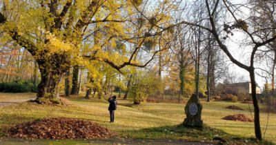 Seifersdorfer Schlosspark
