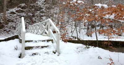 Winter im Seifersdorfer Tal