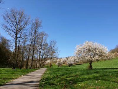 Auf dem Weg ins Saubachtal