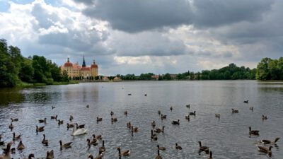 Blick zum Schloss Moritzburg vom Westufer des Schlossteichs