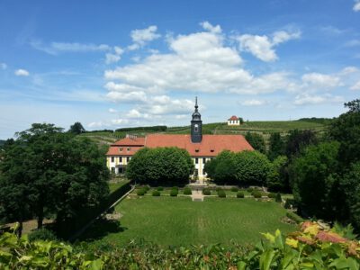 Diesbar-Seußlitz - Schloss Seußlitz und Luisenburg