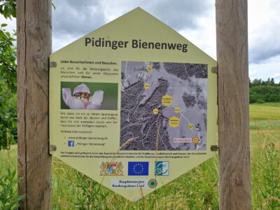 Info zum Pidinger Bienenweg