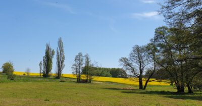 Landschaft am Bränitzbach bei Bärnsdorf
