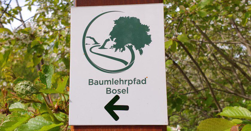 Baumlehrpfad Bosel