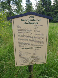 Georgenfelder Hochmoor