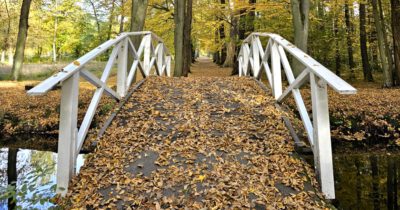 Brücke über den Schlossgraben im Schlosspark Hermsdorf mit Herbstlaub