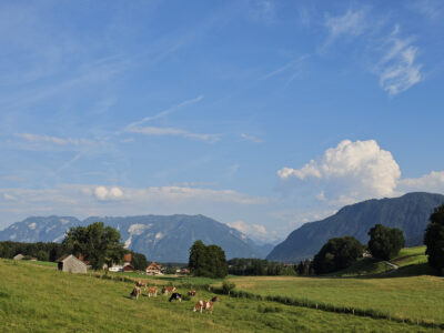 Blick zum Untersberg