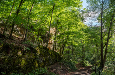 Wesenitzwanderweg