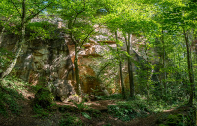 Wesenitzwanderweg