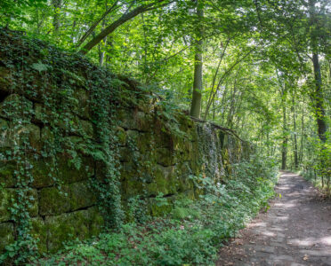 Wesenitzwanderweg