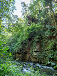 Die Wesenitz im Liebethaler Grund